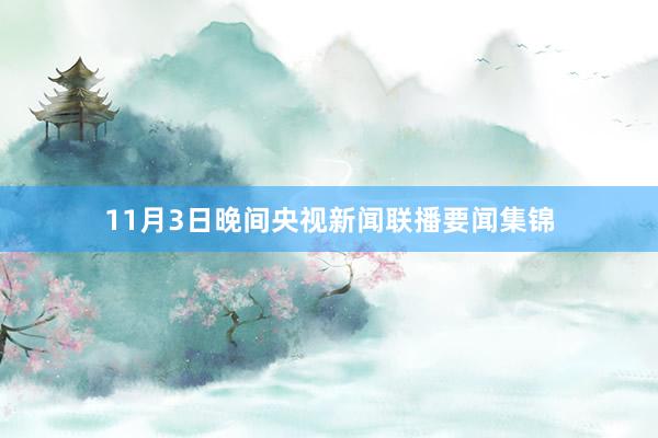 11月3日晚间央视新闻联播要闻集锦