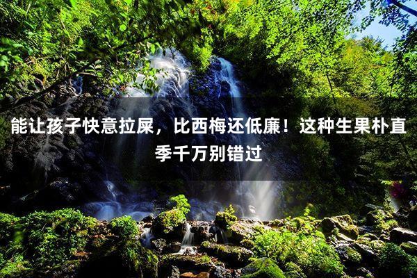 能让孩子快意拉屎，比西梅还低廉！这种生果朴直季千万别错过