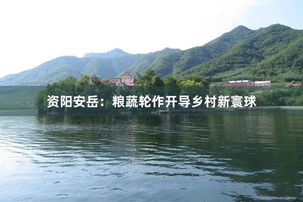 资阳安岳：粮蔬轮作开导乡村新寰球