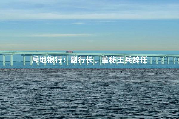 斥地银行：副行长、董秘王兵辞任