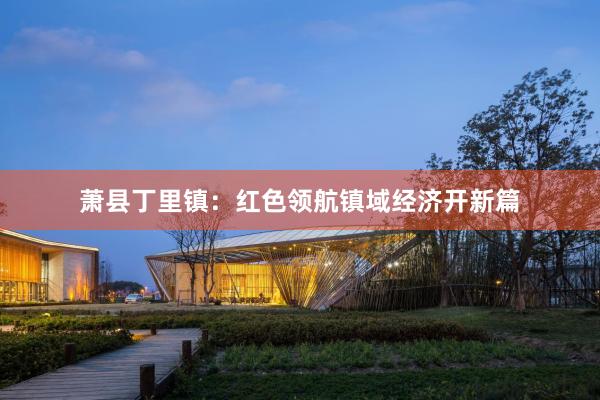 萧县丁里镇：红色领航镇域经济开新篇