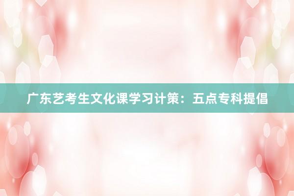 广东艺考生文化课学习计策：五点专科提倡
