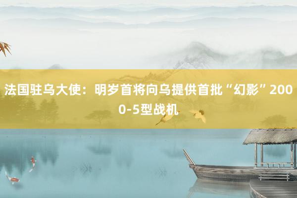 法国驻乌大使：明岁首将向乌提供首批“幻影”2000-5型战机